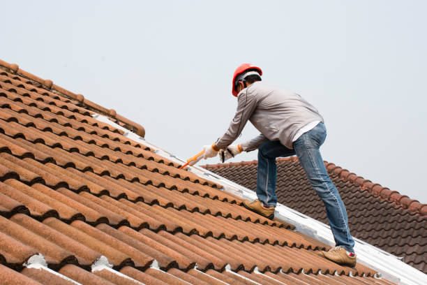 Clearview, WA Roofing services Company